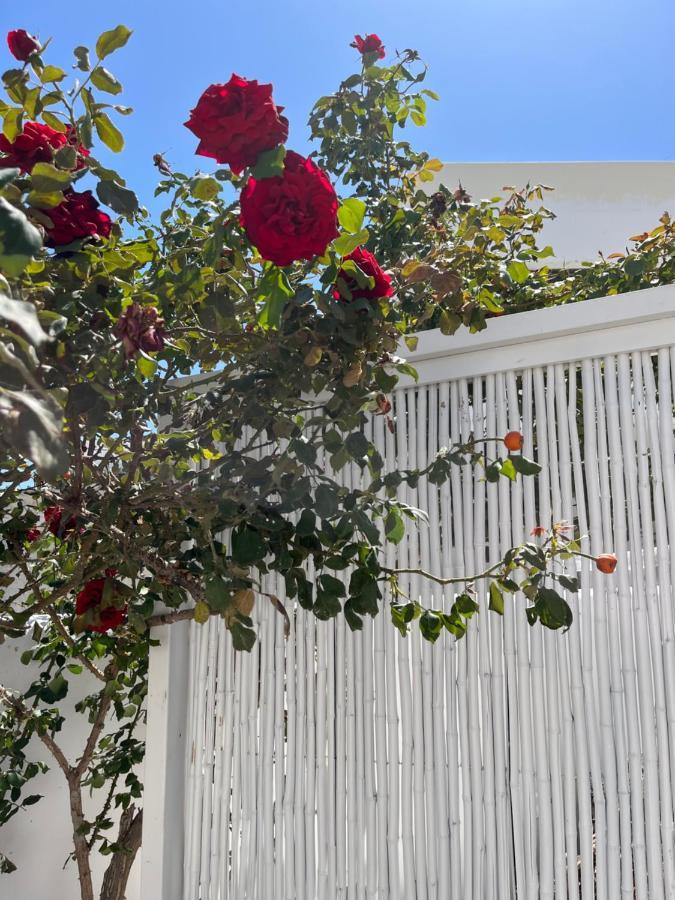 Aleria Central Apartments Naxos City Zewnętrze zdjęcie